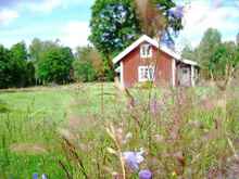 Slumpat foto Slumpat foto.