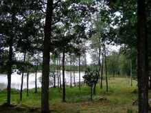 Slumpat foto Slumpat foto.