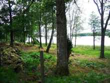 Slumpat foto Slumpat foto.